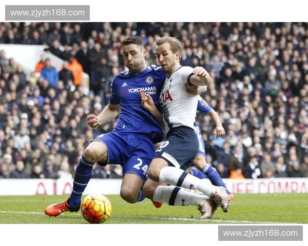 最新欧冠直播信号源地址实时汇总高清稳定免费观看全平台指南权威